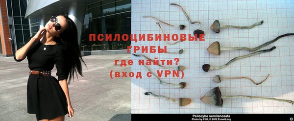 молекула духа Алзамай