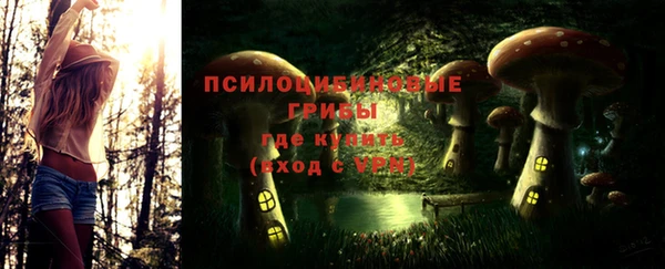амфетамин Алексеевка