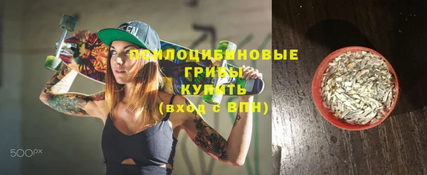 молекула духа Алзамай