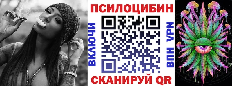 Псилоцибиновые грибы Psilocybe  Тында 