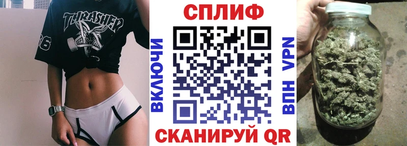omg сайт  Тында  даркнет клад  Конопля ГИДРОПОН 